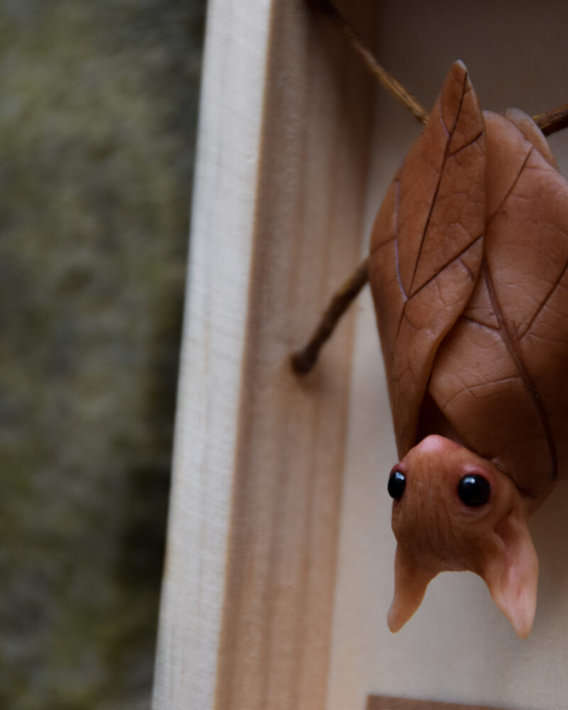 The Leaf Bats